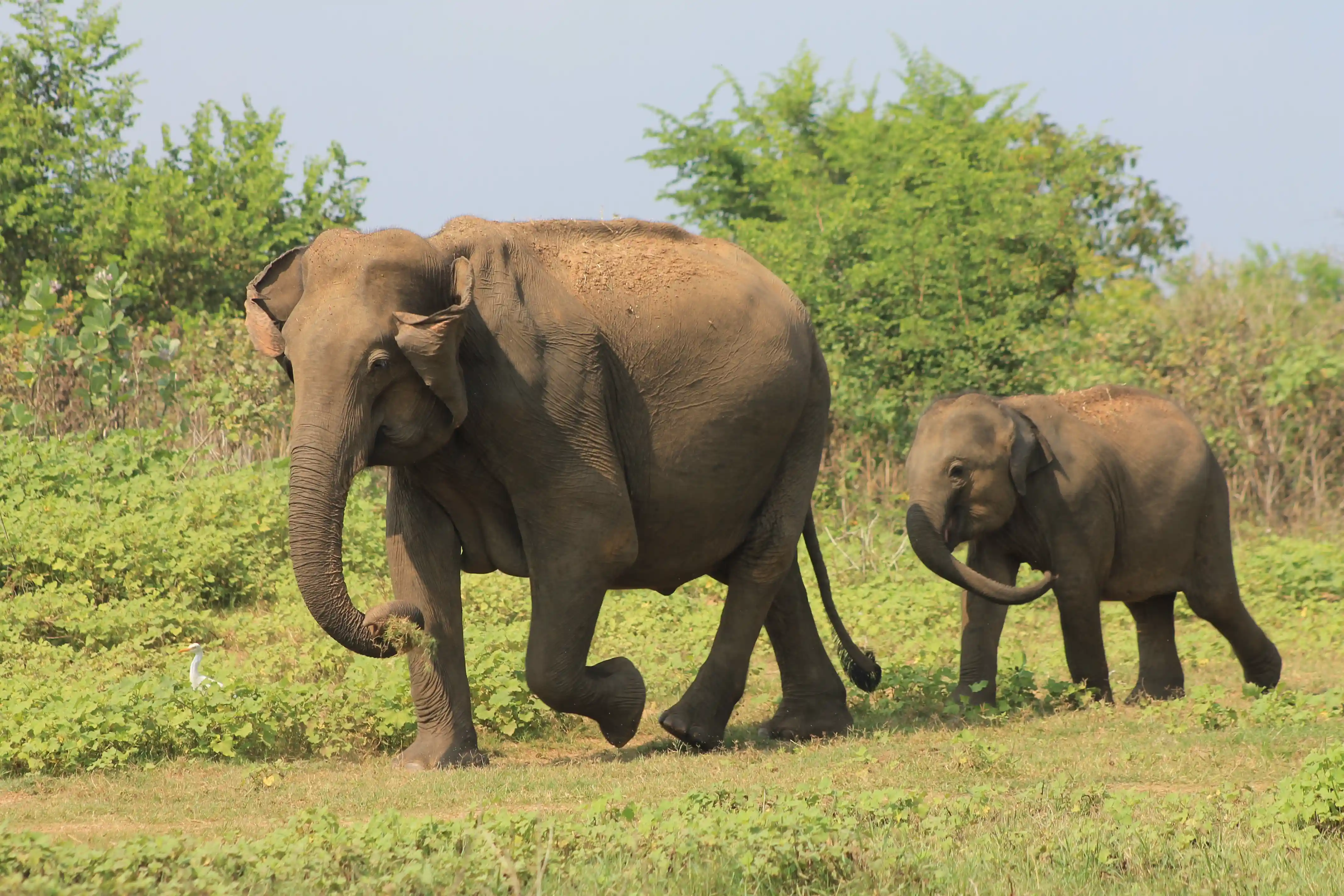 Sandamali with her daughter